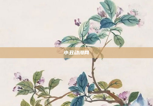 小丑动漫网