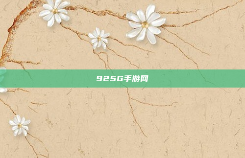 925G手游网