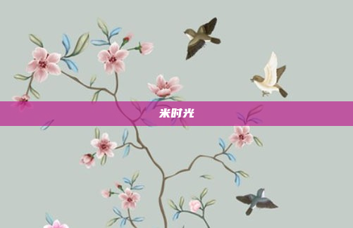 米时光