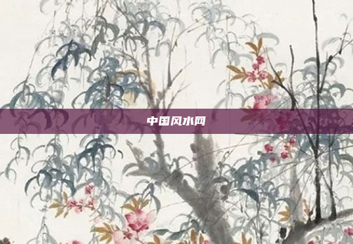 中国风水网