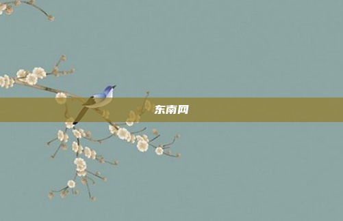 东南网