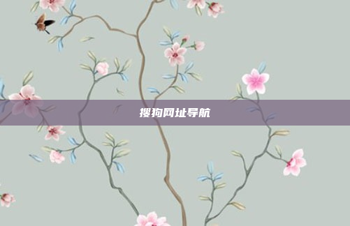 搜狗网址导航