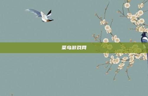 菜鸟游戏网