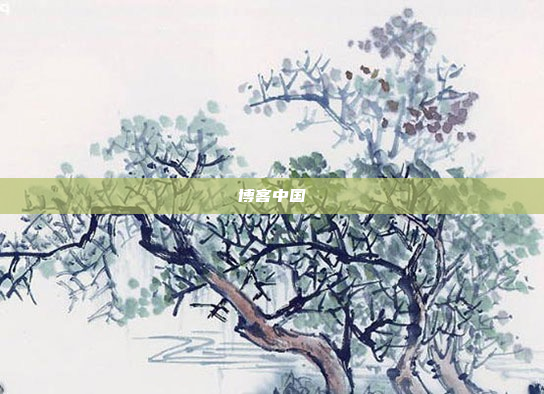 博客中国