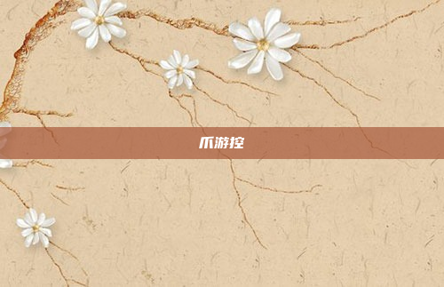 爪游控