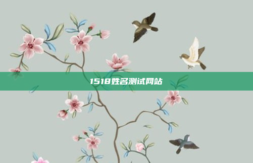 1518姓名测试网站