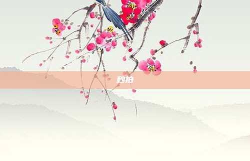 秒拍