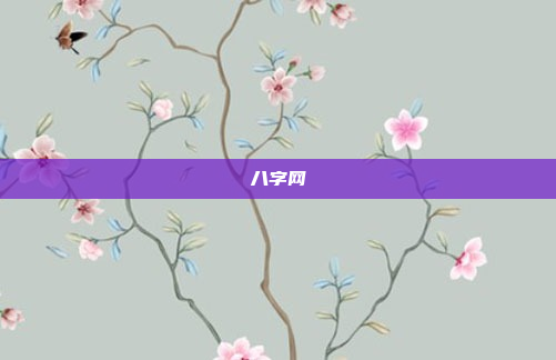 八字网