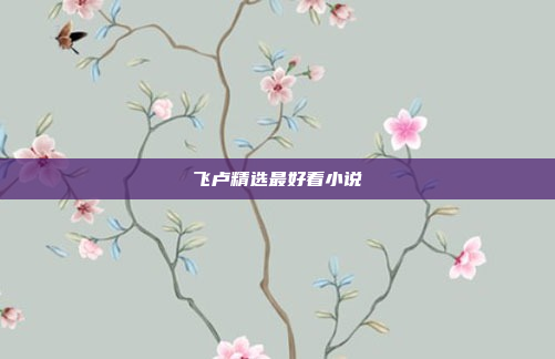 飞卢精选最好看小说