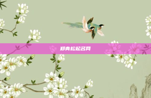 郑青松起名网