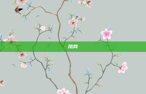 凤网