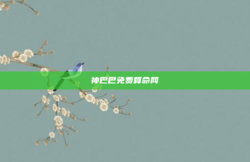 神巴巴免费算命网