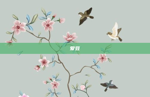 爱豆