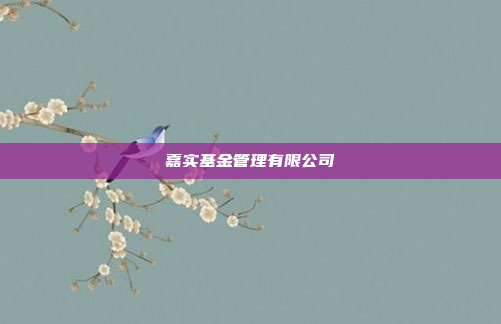 嘉实基金管理有限公司