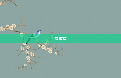 搬家网