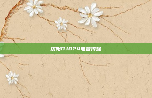 沈阳DJ024电音传媒