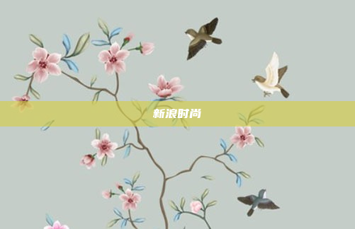 新浪时尚