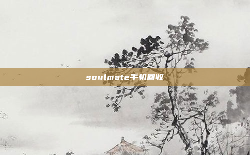 soulmate手机回收