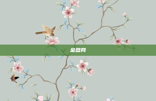 金盘网