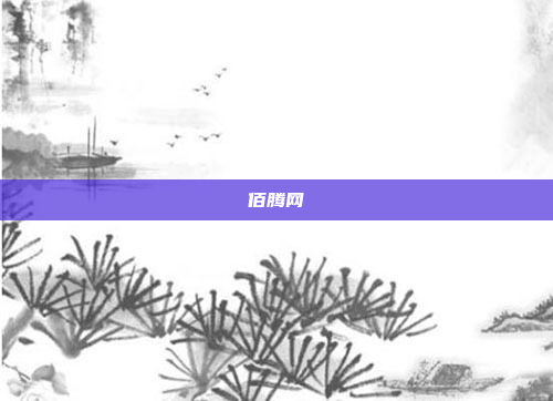佰腾网