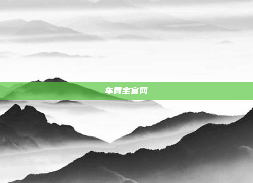 车置宝官网