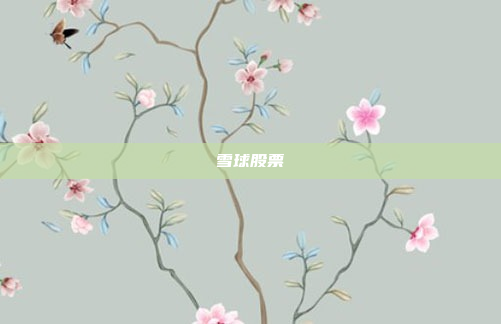 雪球股票