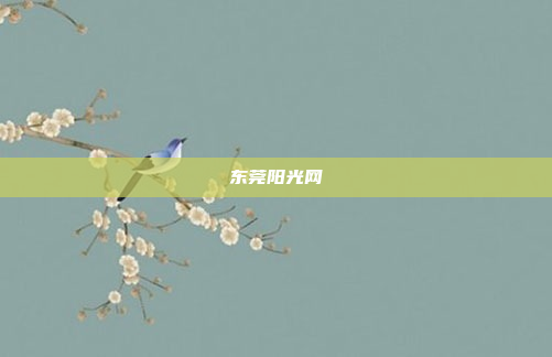 东莞阳光网