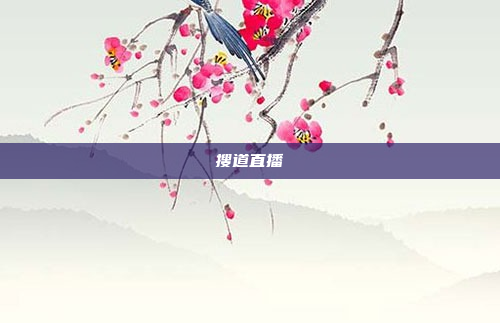 搜道直播