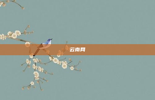 云南网