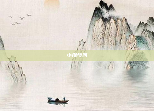 小提琴网