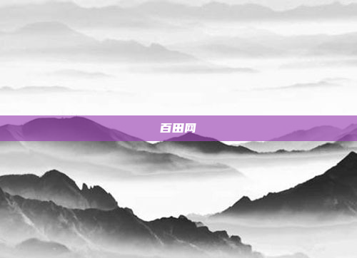 百田网