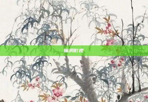 魔洞影视