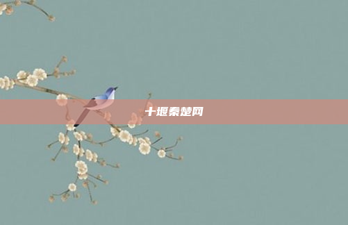 十堰秦楚网