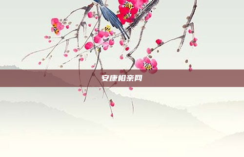 安康相亲网