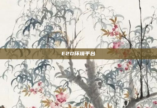 E20环境平台