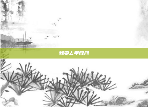 我要去甲醛网