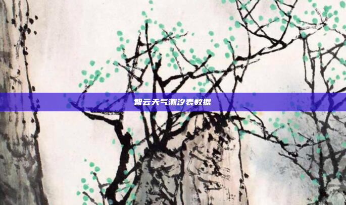 智云天气潮汐表数据