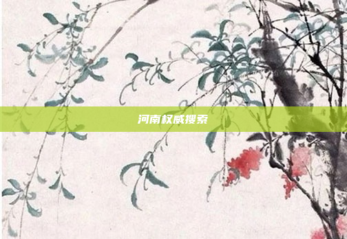 河南权威搜索