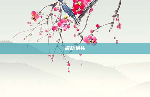 睿航猎头