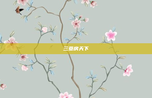 三亚房天下