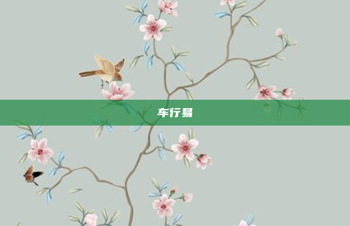 车行易