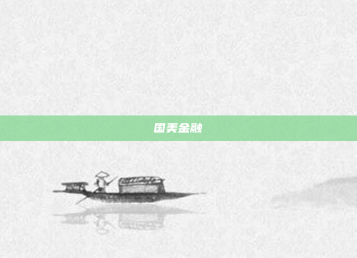 国美金融