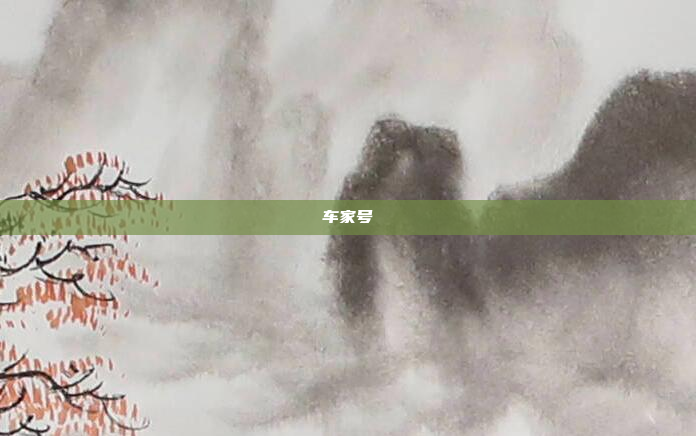 车家号