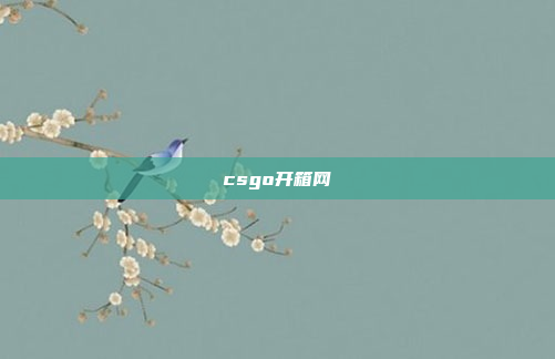 csgo开箱网