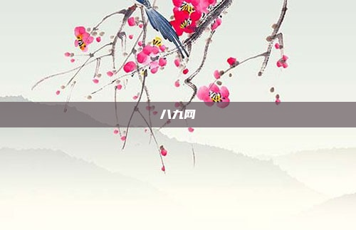 八九网