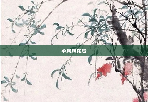 中民网保险