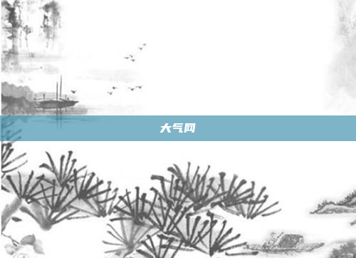 大气网