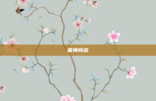 雷神商店