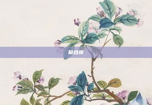 聚合搜