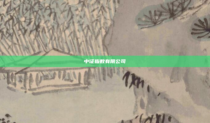 中证指数有限公司